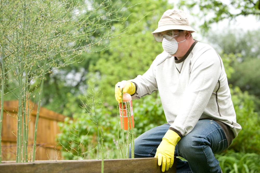 Landscaping service work